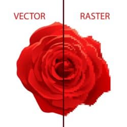 Difference between vector and raster graphics