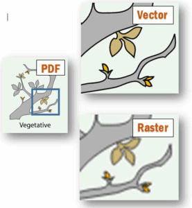 vector raster example