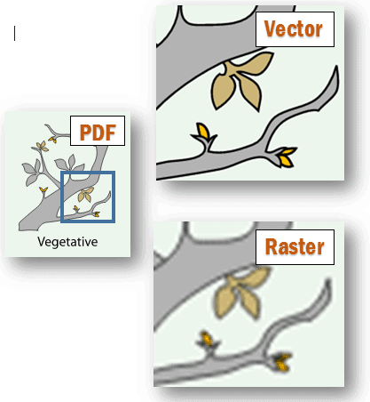 difference of raster and vector