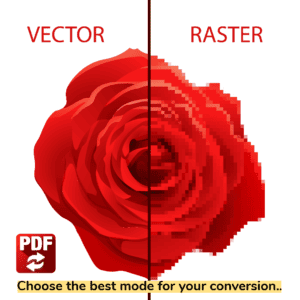 vector vs raster